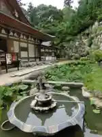 観音正寺の庭園