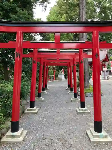 亀ケ池八幡宮の鳥居