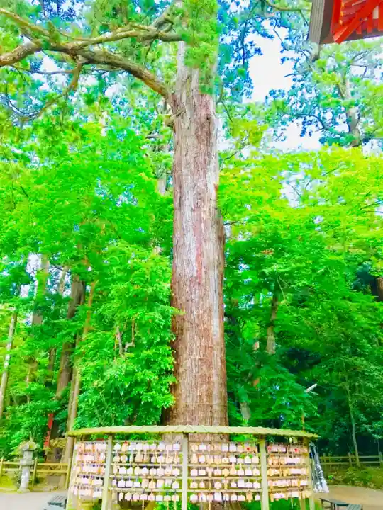 鹿島神宮(茨城県)