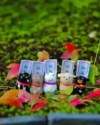 浄土寺のおみくじ