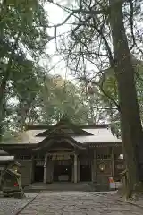 高千穂神社の本殿