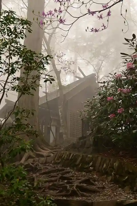 三峯神社(埼玉県)