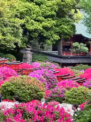 根津神社(東京都)