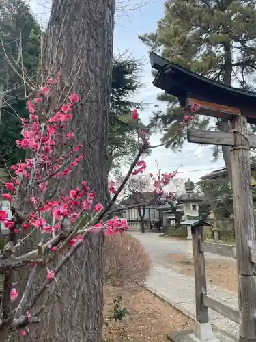 田端神社(東京都)