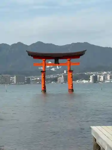 厳島神社の{uncategorized: "未分類", other: "その他", undefined: "問題あり", building: "その他建物", grave: "お墓", sacred_gate: "鳥居", guardian: "狛犬", statue: "像", buddha: "仏像", history: "歴史", nature: "自然", garden: "庭園", animal: "動物", pagoda: "塔", temizu: "手水舎", mountain_gate: "山門・神門", sanctuary: "本殿・本堂", subordinate: "末社・摂社", art: "芸術", scenery: "景色", jizo: "地蔵", ema: "絵馬", goshuin: "御朱印", omikuji: "おみくじ", items: "授与品その他", amulet: "お守り", goshuincho: "御朱印帳", eats: "食事", festival: "お祭り", votive_dance: "神楽", shichigosan: "七五三参", wedding: "結婚式", experience: "体験その他", initially: "初詣", around: "周辺", anti_infection: "感染症対策"}