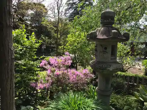 安養寺の庭園