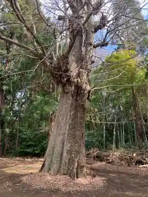 葦不合神社(千葉県)