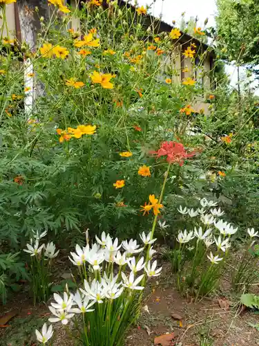 鷺宮八幡神社の自然