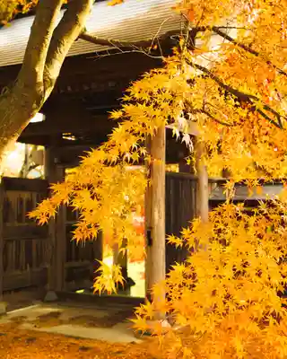 泉龍寺(群馬県)