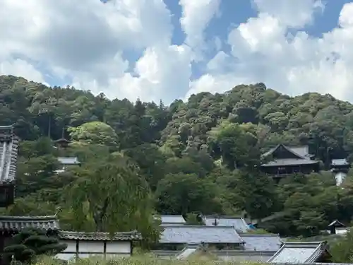 長谷寺(奈良県)