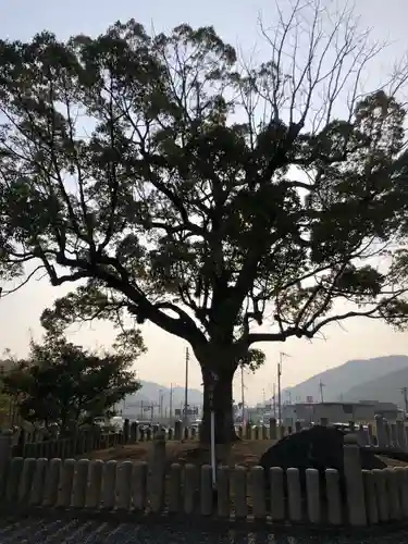 神戸神社のその他建物