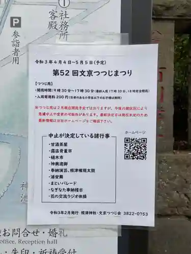 根津神社のお祭り