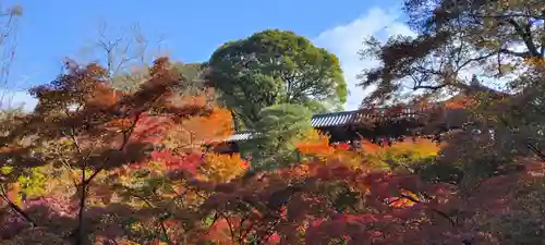 東福禅寺（東福寺）(京都府)