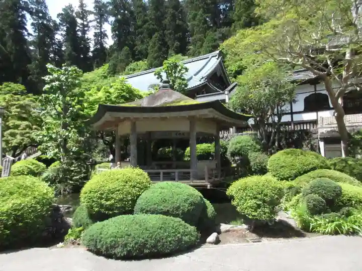 最乗寺(道了尊)の庭園