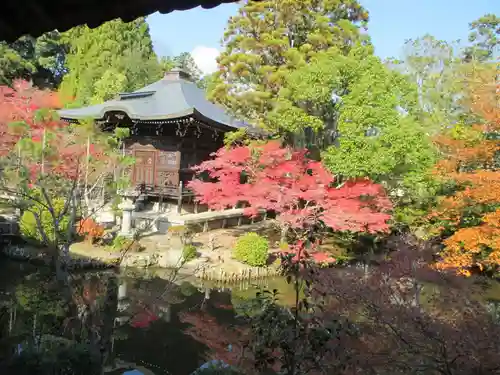 清凉寺の庭園