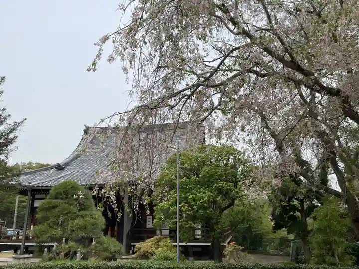 天福寺(千葉県)