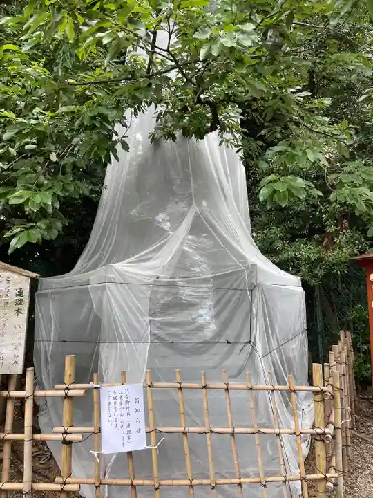 城山八幡宮(愛知県)