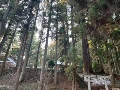 大宮温泉神社(栃木県)
