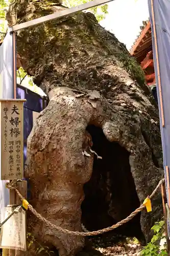 生島足島神社(長野県)