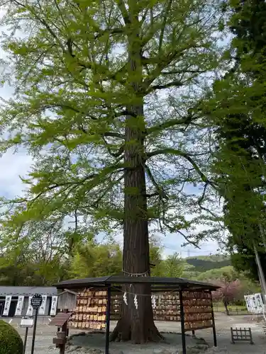 秋保神社(宮城県)