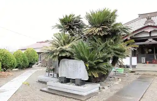 金勝寺の建物その他