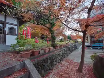長泉院(埼玉県)