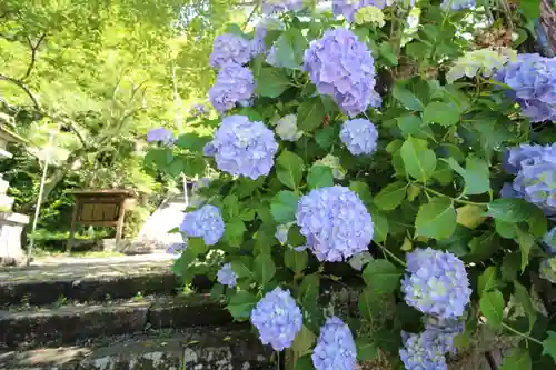 金櫻神社の自然