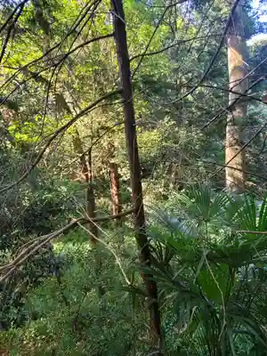 前玉神社の周辺