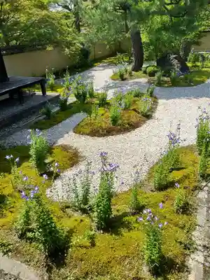廬山寺（廬山天台講寺）(京都府)