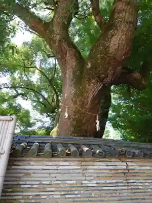 石清水八幡宮(京都府)