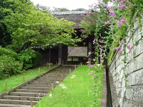 横浜　西方寺の山門・神門