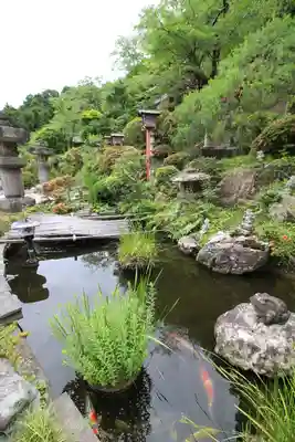 浄心寺(埼玉県)