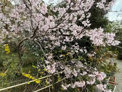 不退寺(奈良県)
