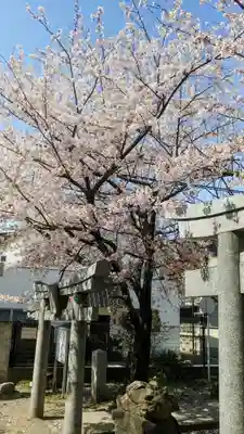 網屋天満宮の自然