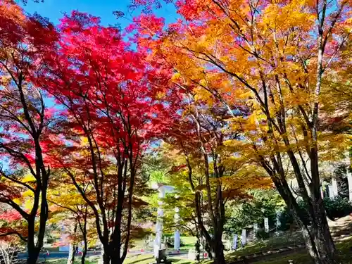 土津神社｜こどもと出世の神さまの自然