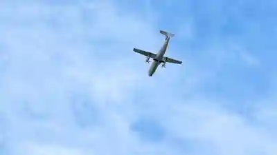 秋葉神社(兵庫県)