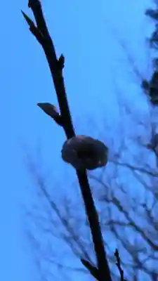 小野照崎神社(東京都)