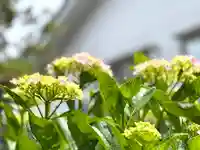 良性院(長野県)