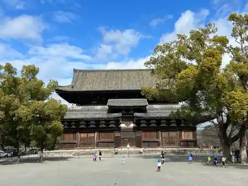 東寺（教王護国寺）(京都府)