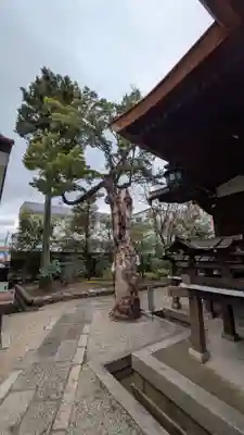 大将軍八神社(京都府)
