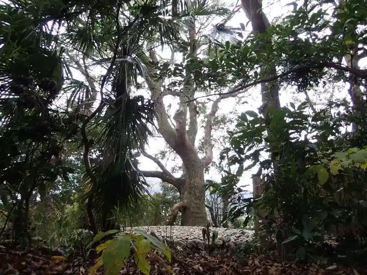 葭原神社(皇大神宮末社)の自然
