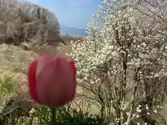 高屋敷稲荷神社(福島県)