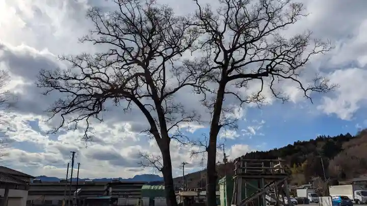 夫婦くぬぎ両神神社(椋神社)の自然