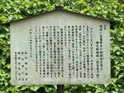 蓮華寺(静岡県)