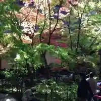 金剛輪寺(滋賀県)