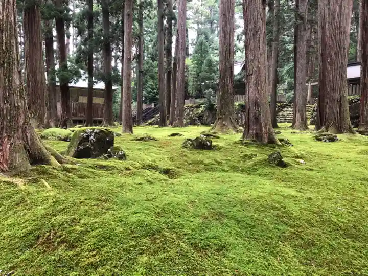 平泉寺白山神社(福井県)