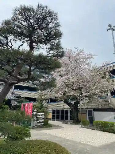西雲寺の{uncategorized: "未分類", other: "その他", undefined: "問題あり", building: "その他建物", grave: "お墓", sacred_gate: "鳥居", guardian: "狛犬", statue: "像", buddha: "仏像", history: "歴史", nature: "自然", garden: "庭園", animal: "動物", pagoda: "塔", temizu: "手水舎", mountain_gate: "山門・神門", sanctuary: "本殿・本堂", subordinate: "末社・摂社", art: "芸術", scenery: "景色", jizo: "地蔵", ema: "絵馬", goshuin: "御朱印", omikuji: "おみくじ", items: "授与品その他", amulet: "お守り", goshuincho: "御朱印帳", eats: "食事", festival: "お祭り", votive_dance: "神楽", shichigosan: "七五三参", wedding: "結婚式", experience: "体験その他", initially: "初詣", around: "周辺", anti_infection: "感染症対策"}