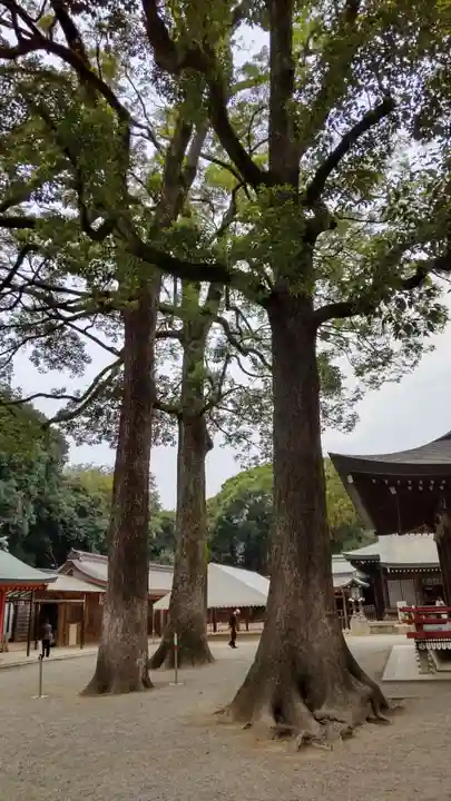 武蔵一宮氷川神社の自然