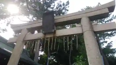 柴又八幡神社の鳥居