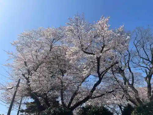 村富神社の自然
